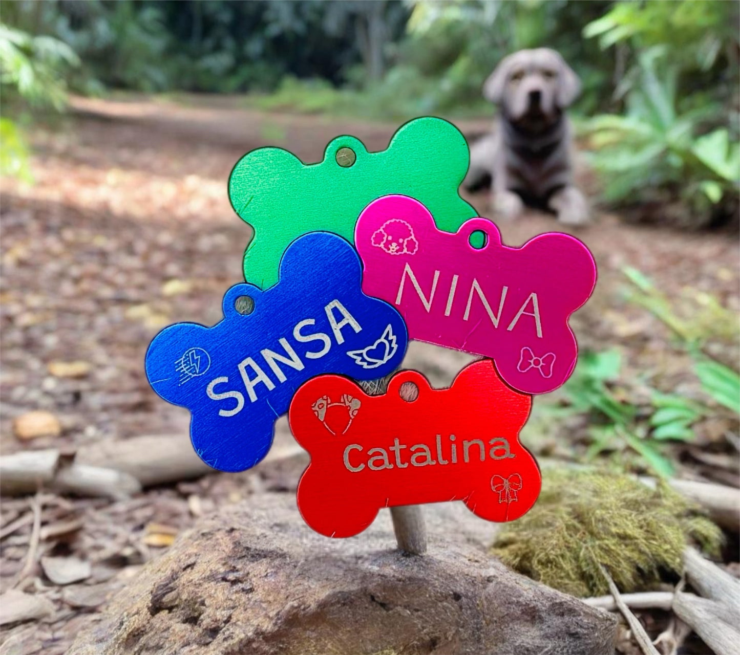 Customized pet tag